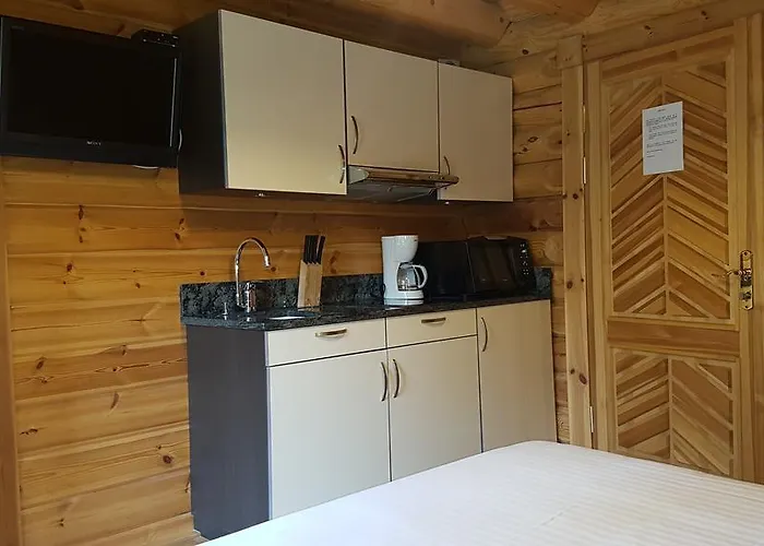 Le Pin Sylvestre Les Thermes 3* 岩尼维利